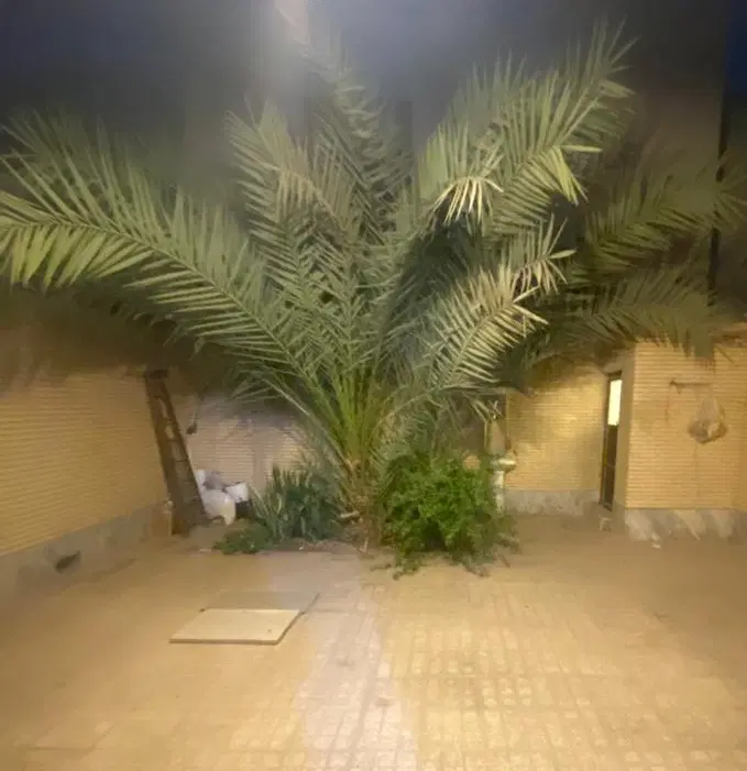 زمین قشم
