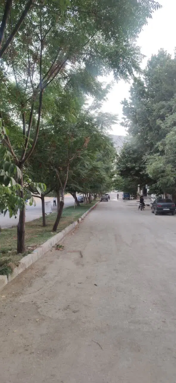 اجاره خانه هم کف
