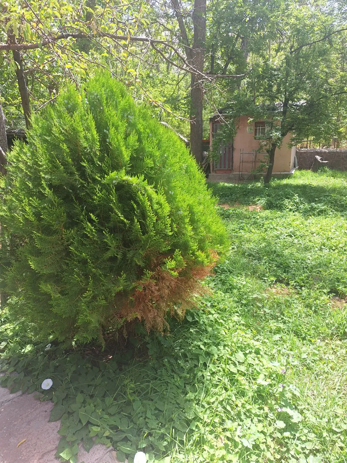 خانه ویلایی در زرین دشت