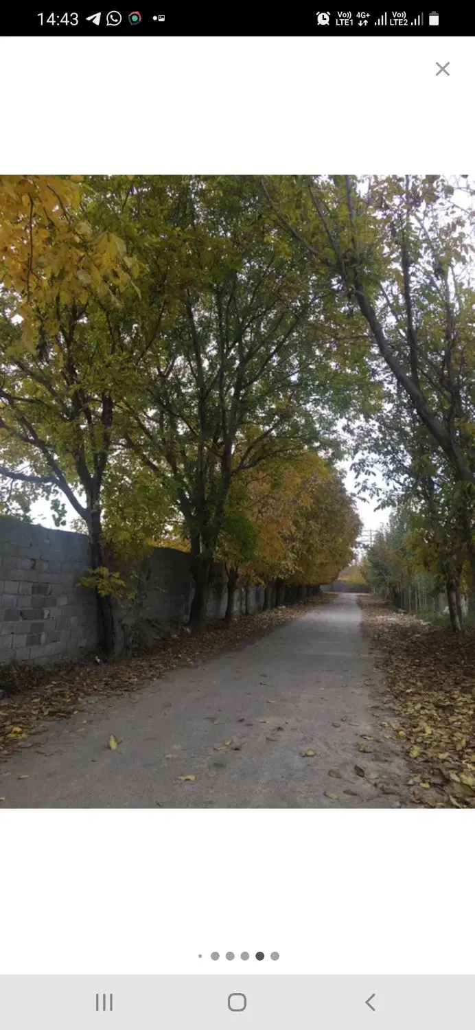 اراضی سرم سازی رازی هشتگرد