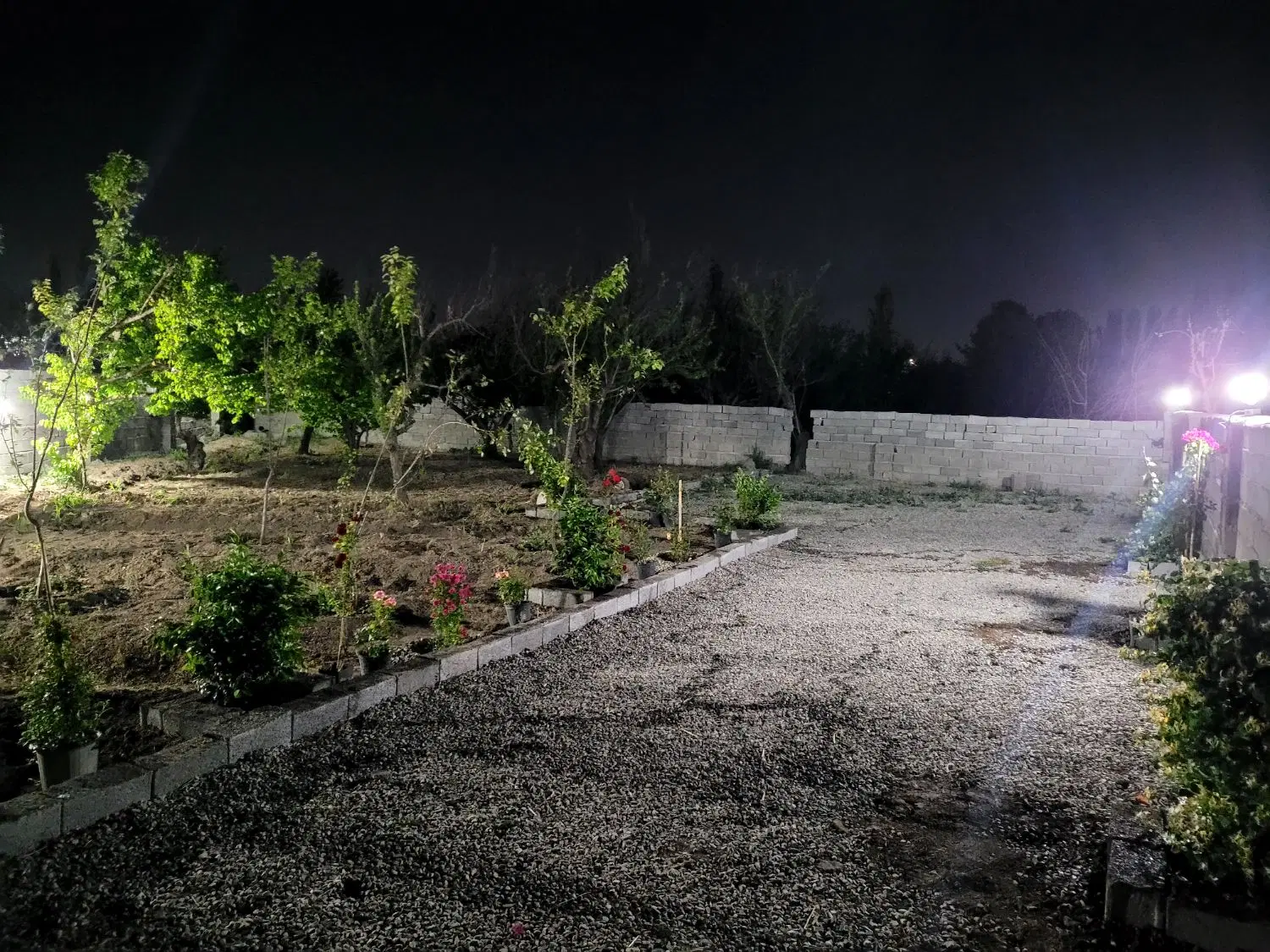 باغچه در قلب شهر‌