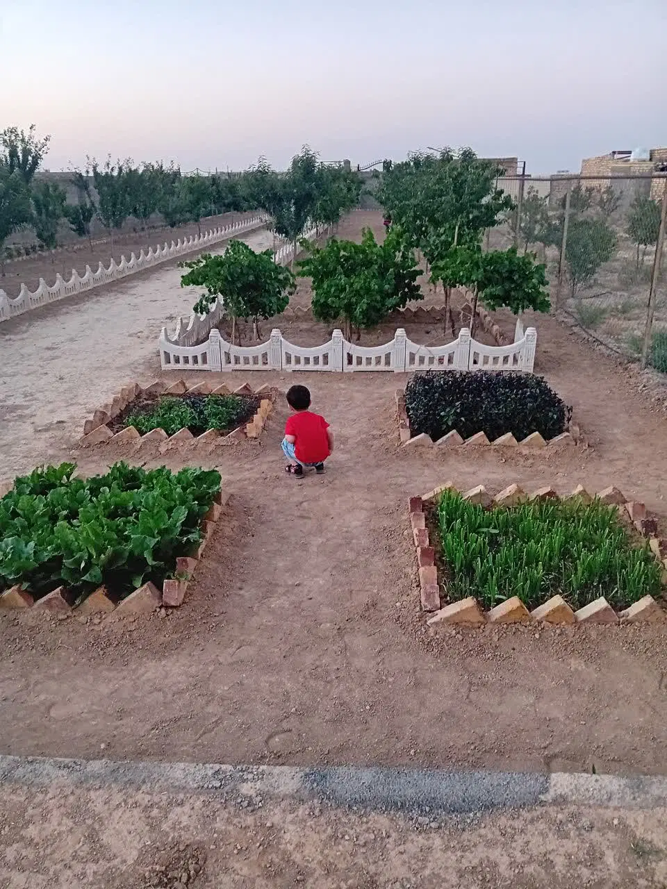 باغ جاده میقان روبه روی تالار کویر