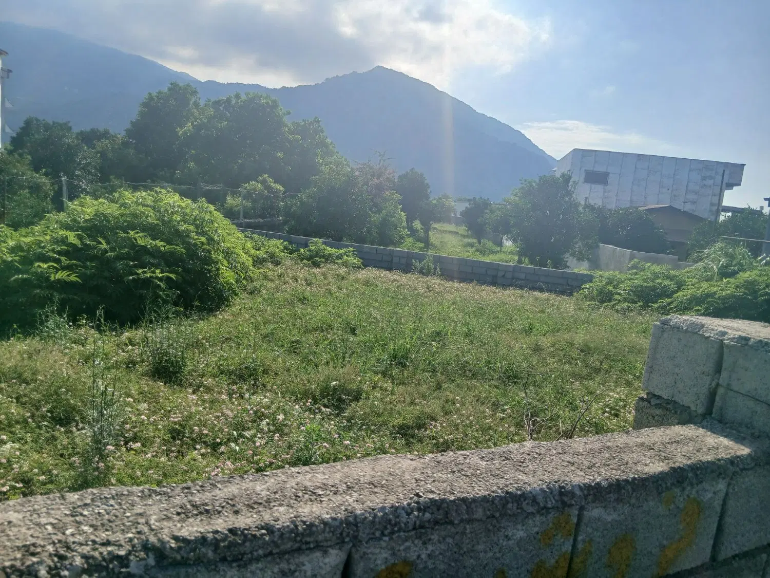 ملک فروش زمین