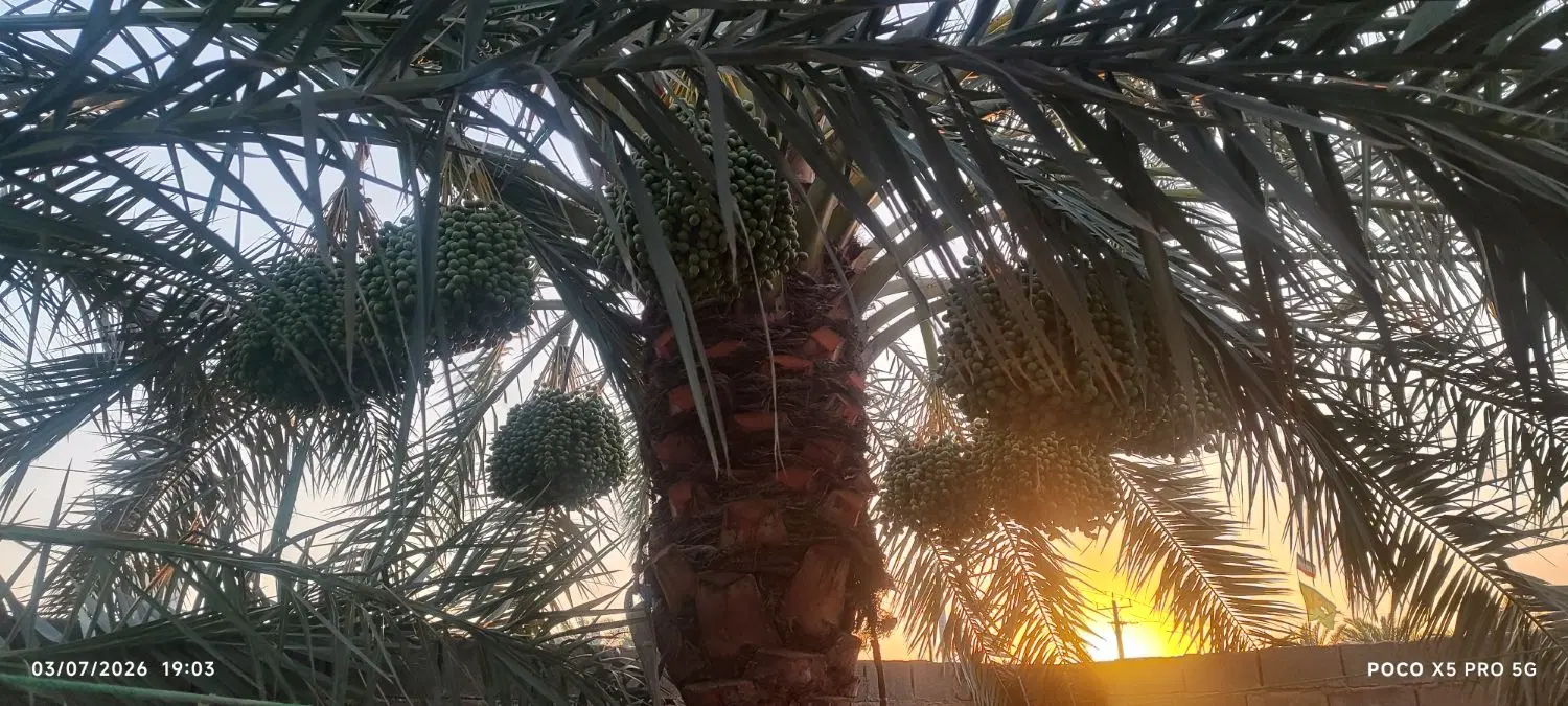 تنگه یک فتح ۴۶