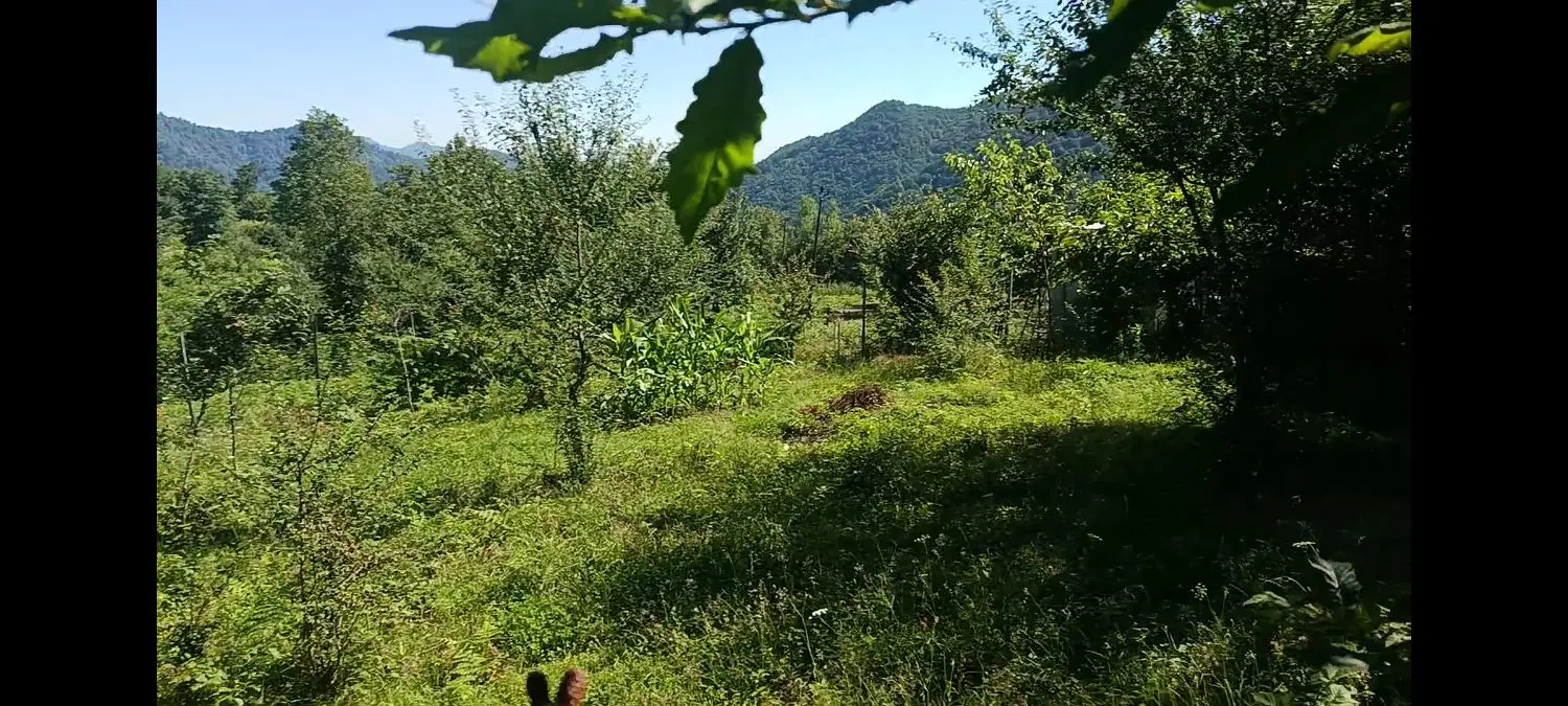 فروش زمین تک برگ سند روستای شاغوله