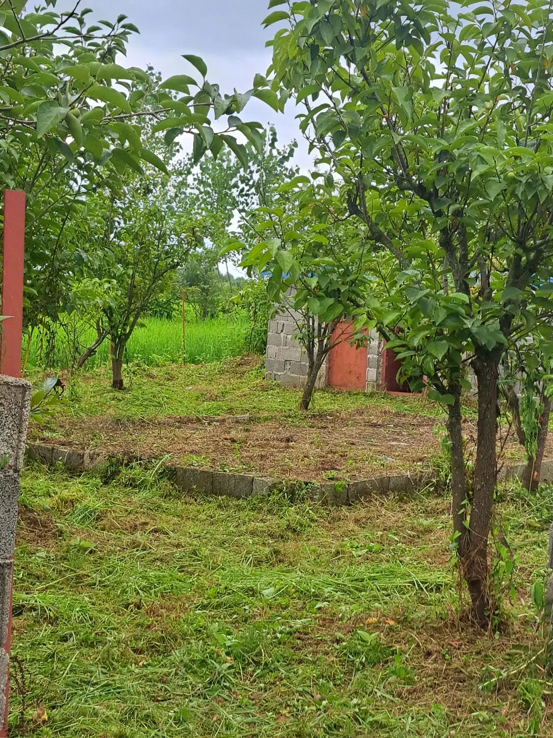 فروش حدود ۲۸۲متر زمین مسکونی ، روستای توتکله سفلی