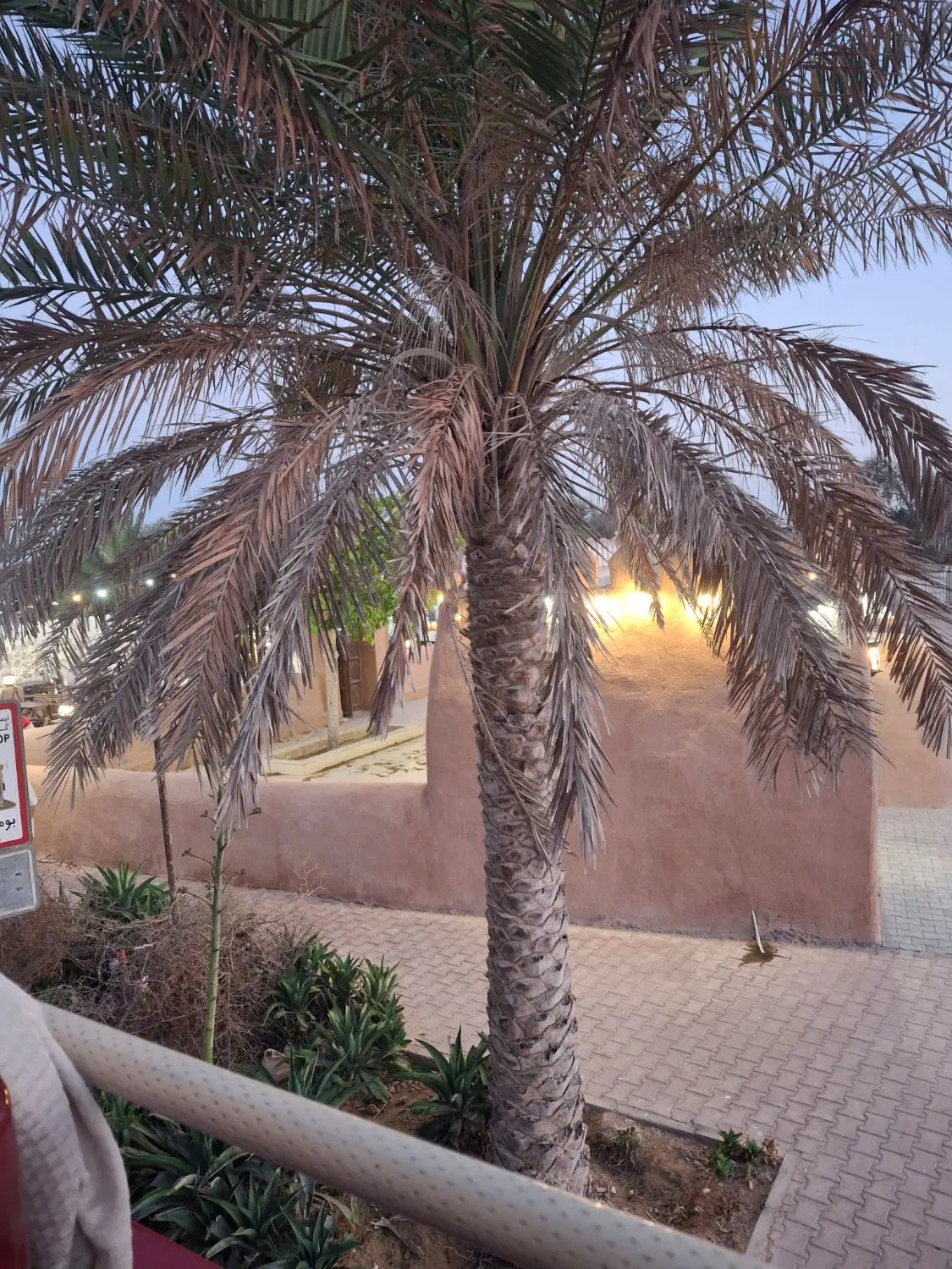 قطعه زمین مسکونی در تسوج
