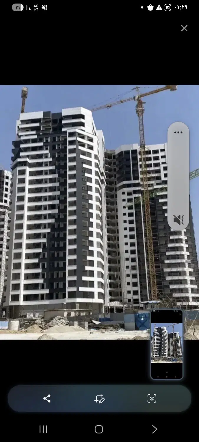 شمیم رحمت ۳ پروژه نخل