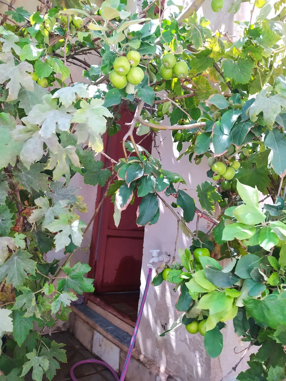 رهن خانه ویلایی ۱۳۰ متری
