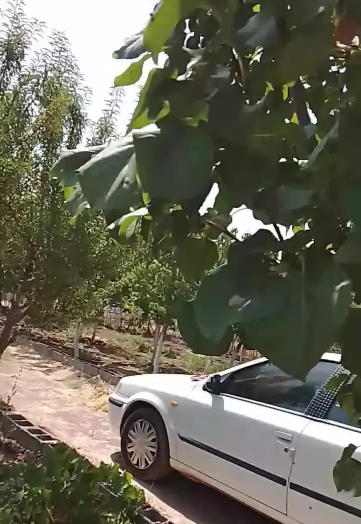 فروش باغچه