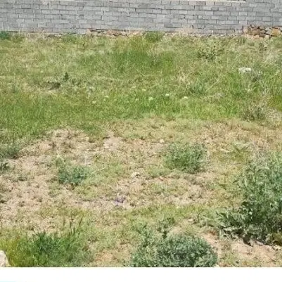 زمین به ابعاد ۱۰×۱۰جنب کمیته امداد بلوک