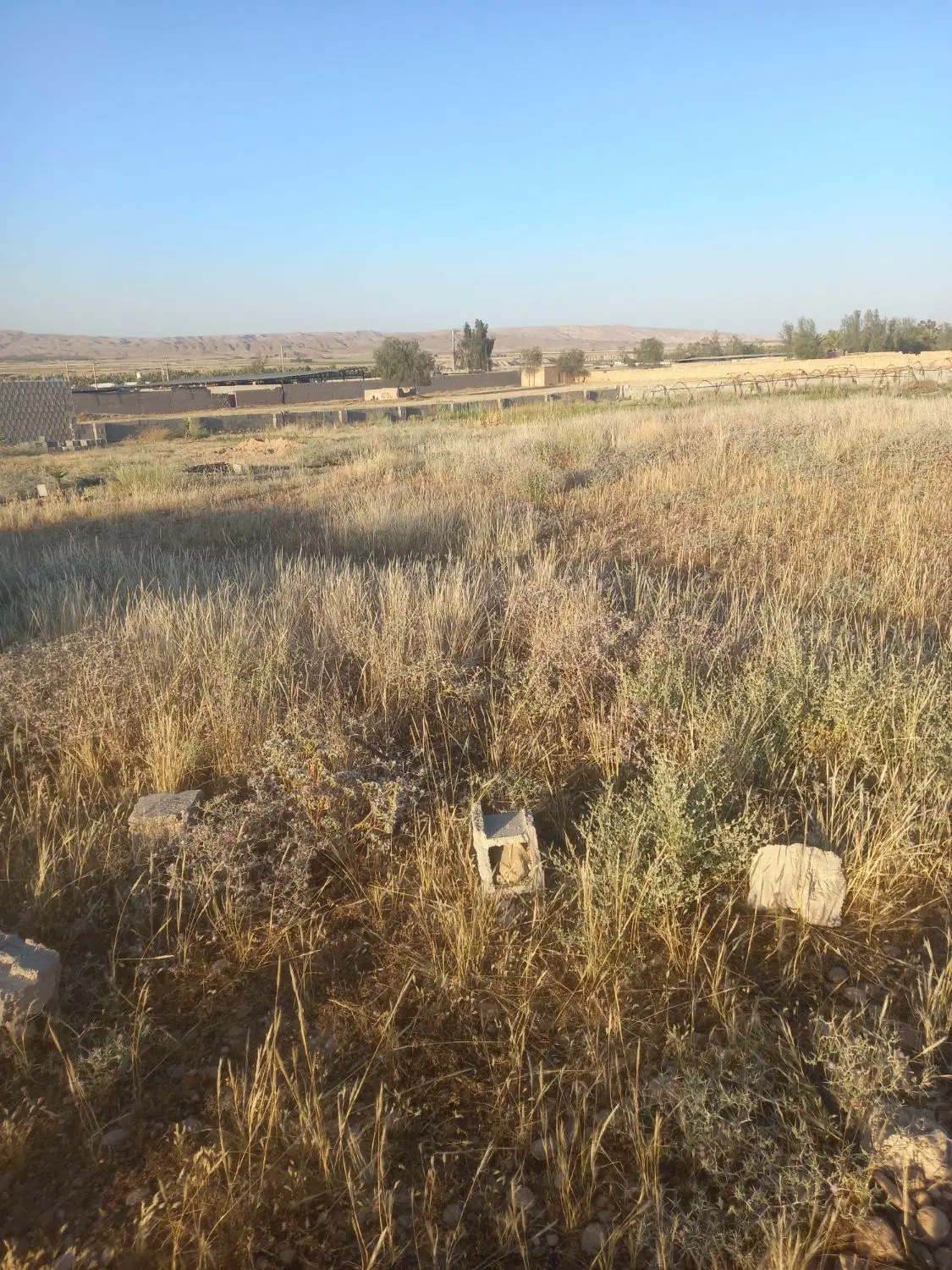 زمین باغ شهری یاکوره