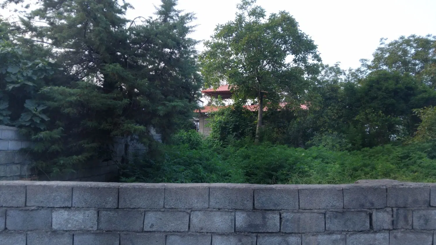 زمین ۳۷۰ متری