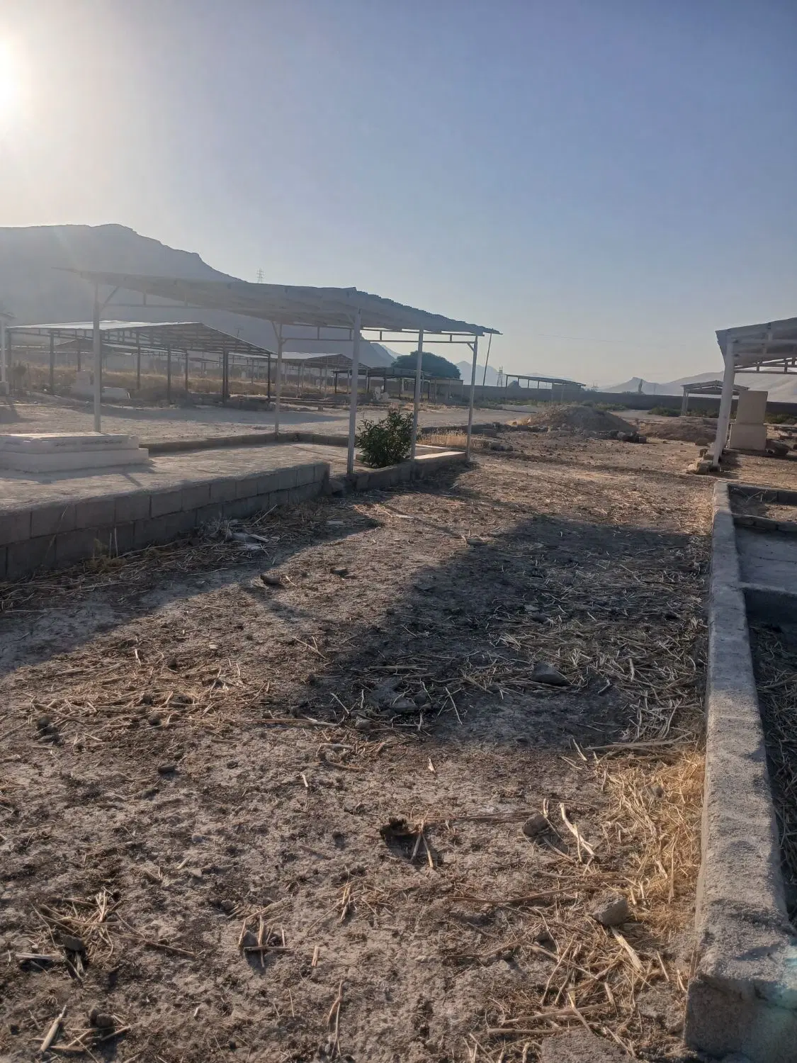 زمین قبر زاهدشیر