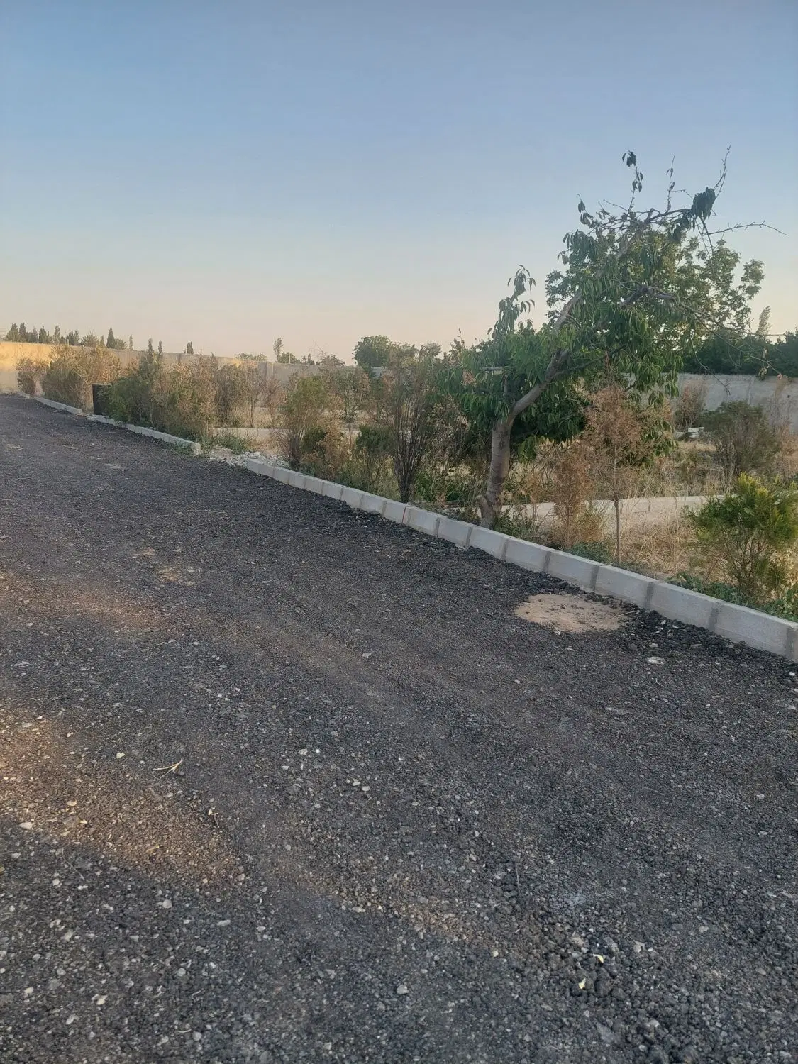 زمین کشاورزی ۶۰۰ متر شهریار،اسکمان