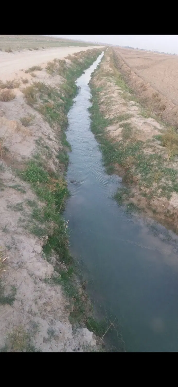 فروش زمین کشاورزی مناسب باغ وگلخانه