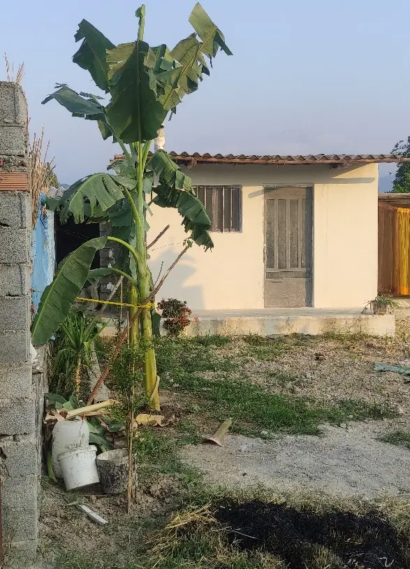 زمین باغچه