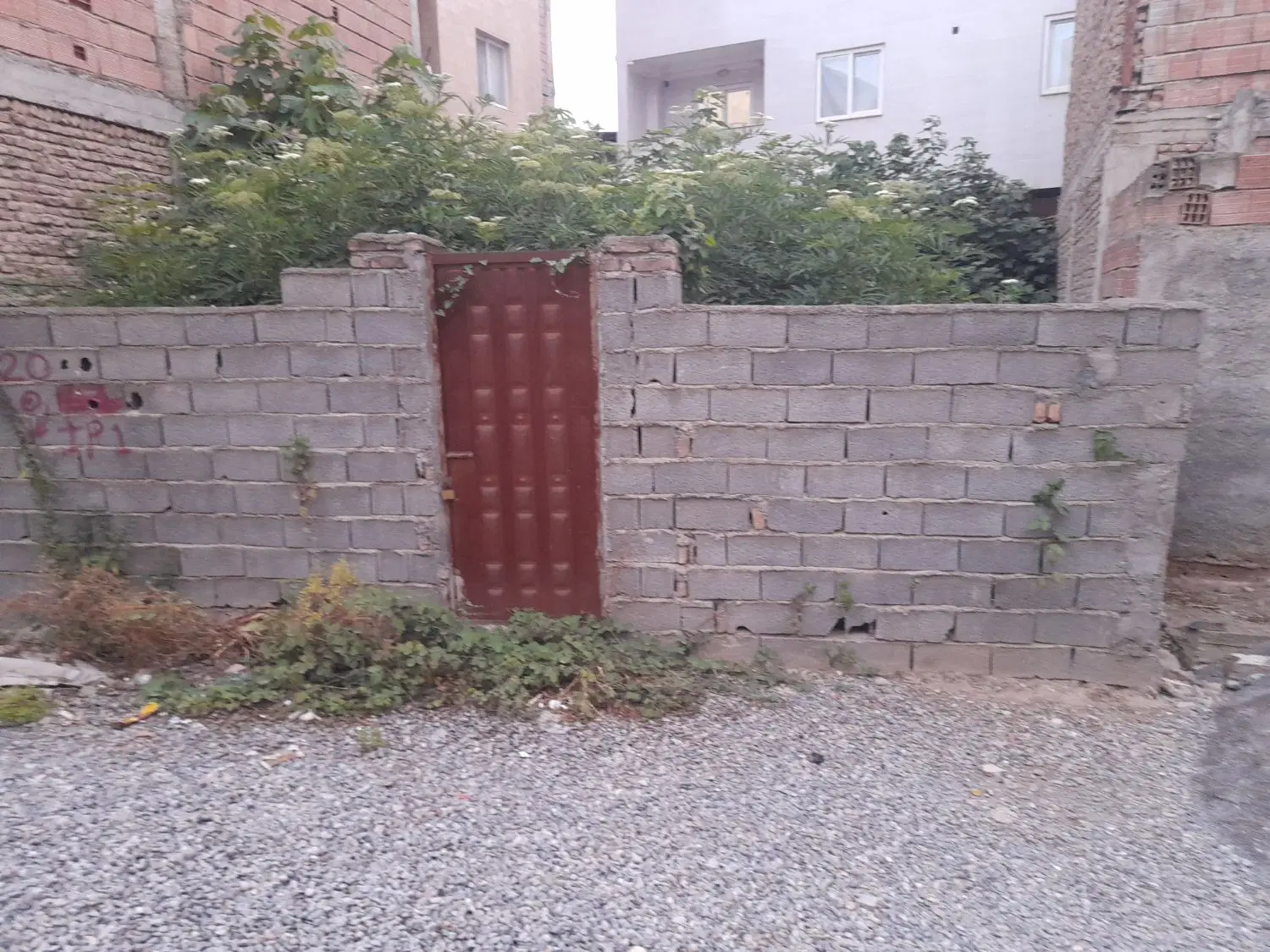 زمین