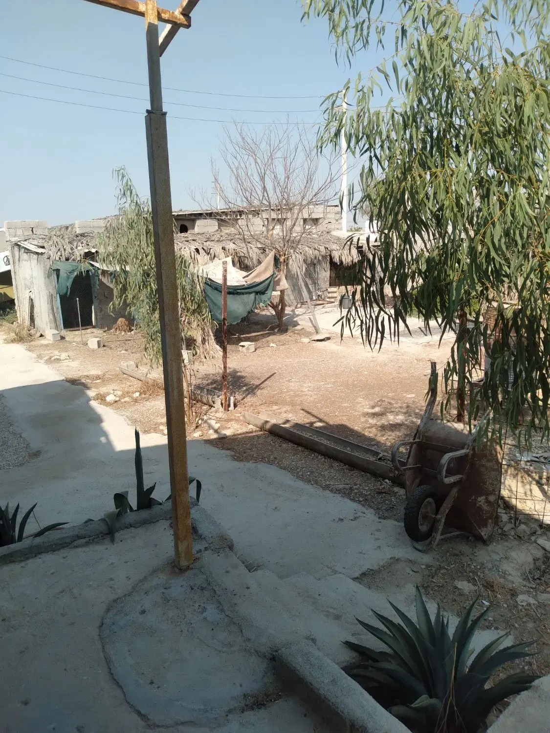 کارگاه پرورش
