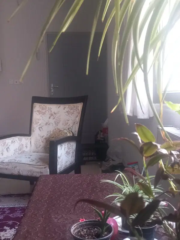 آپارتمان نقلی ، آرام و دنج و خوش نقشه