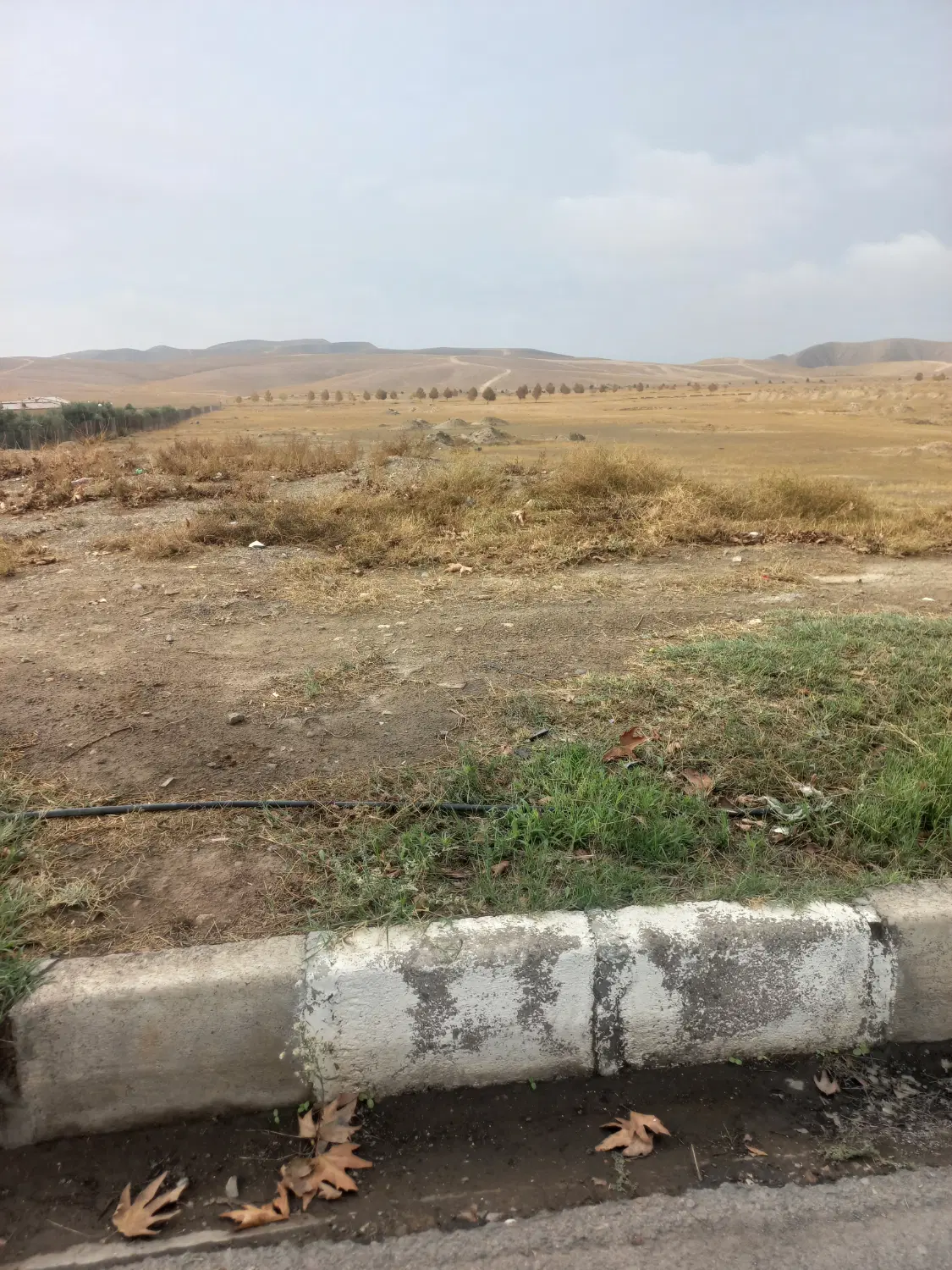 فروش سهام چره ناب واگذاری دادگستری