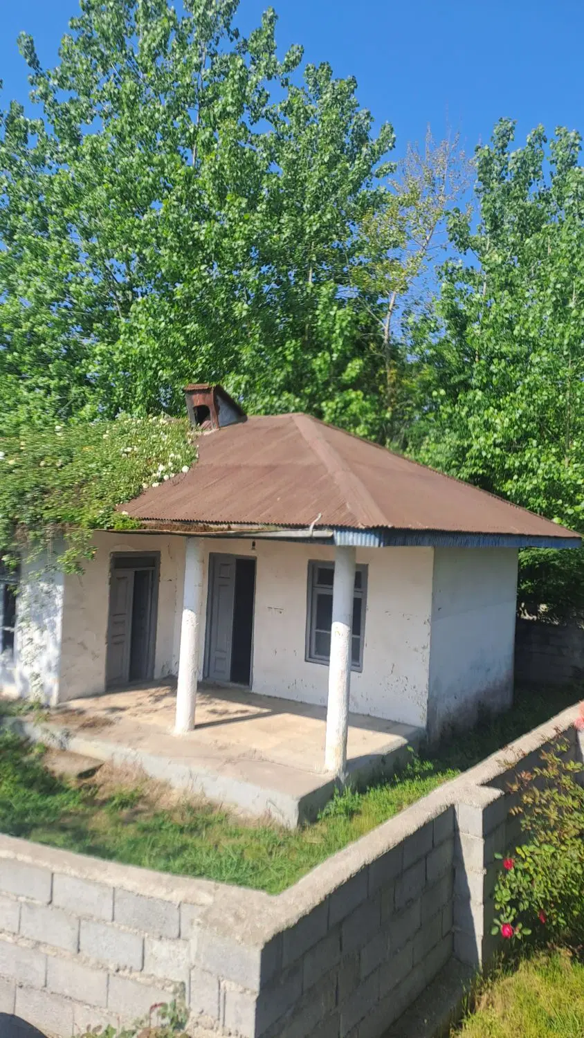 مسکن ملی زیتون