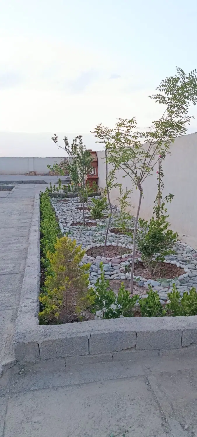 زمین 300 متری تکبرگ