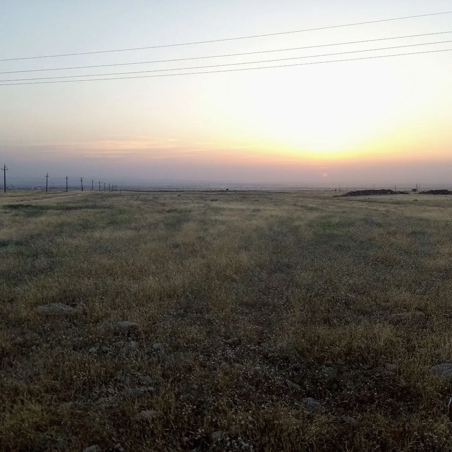 زمین کشاورزی