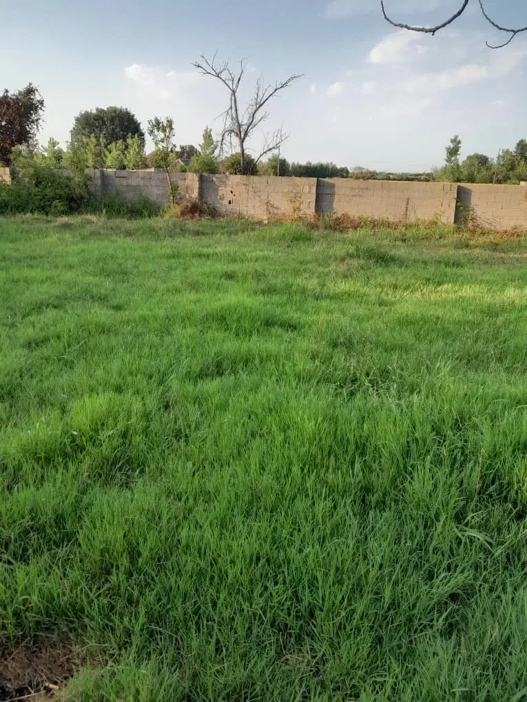 زمین کاملا مسکونی