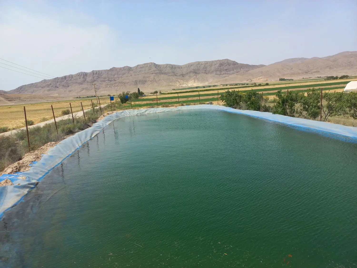 زمین کشاورزی استثنائی
