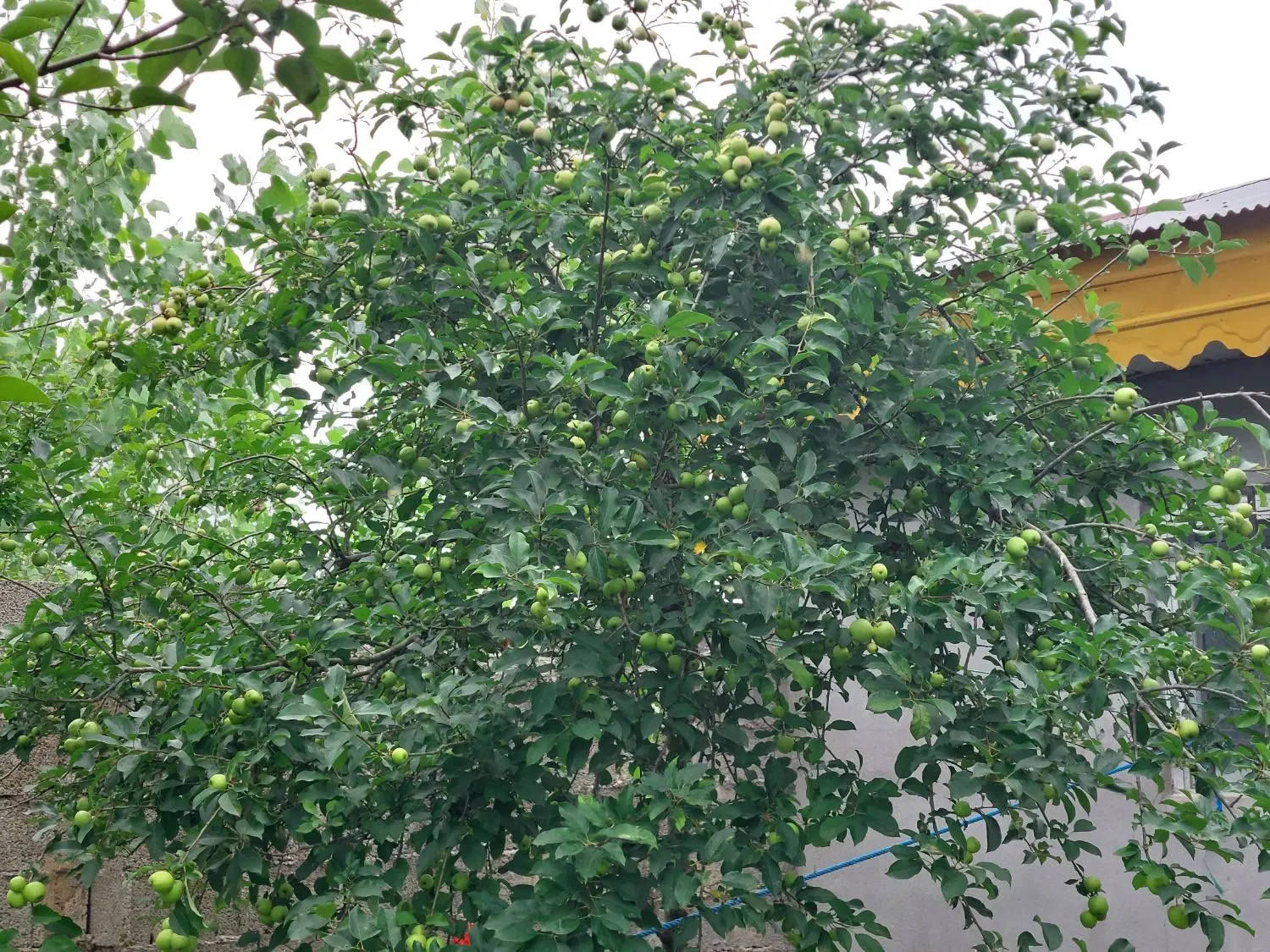 ویلایی مبله(اگهی شخصی)