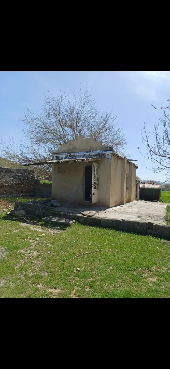 زمین باغی صحنه روستای دولت اباد فقط نقد