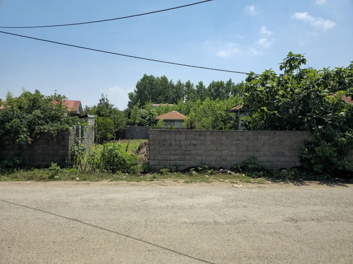 زمین باغی مسکونی