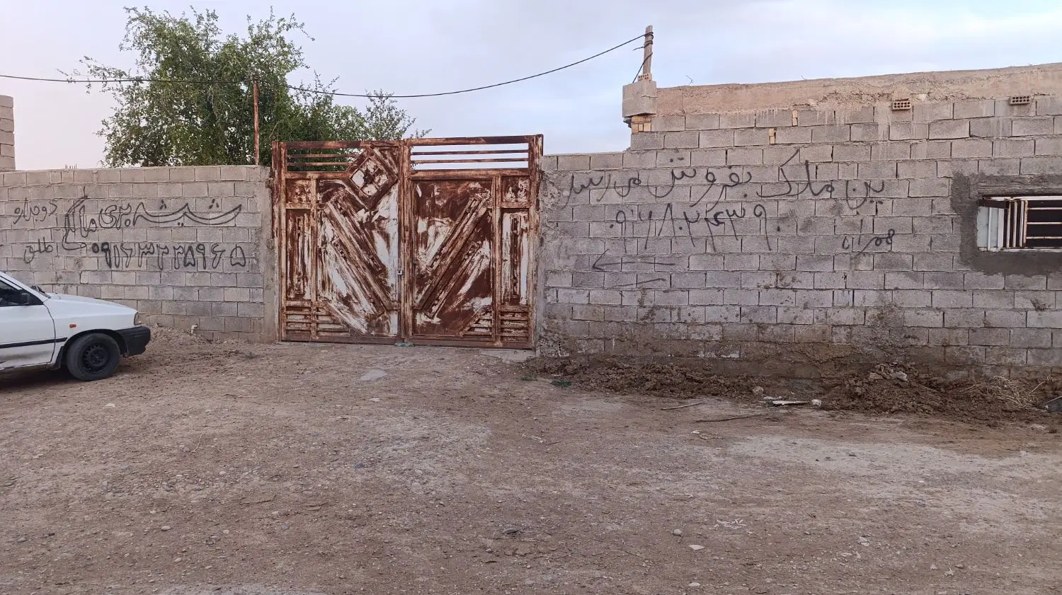 دامداری