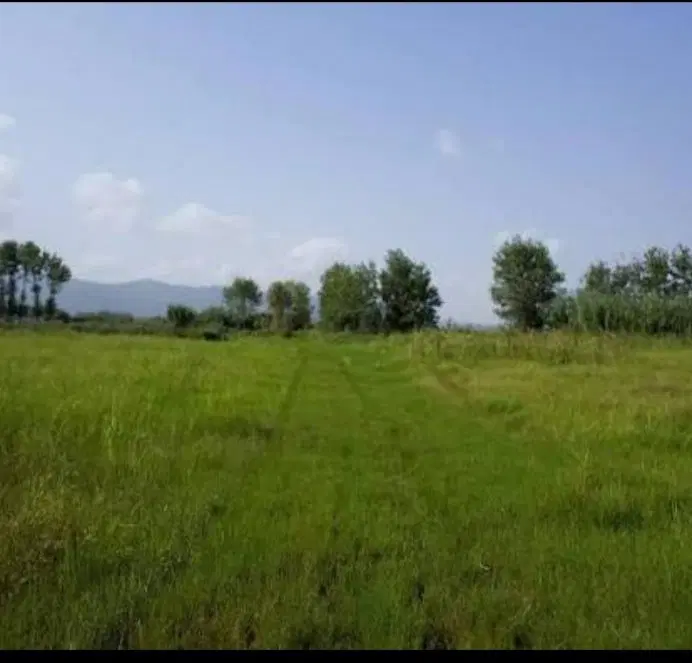 زمین باغی