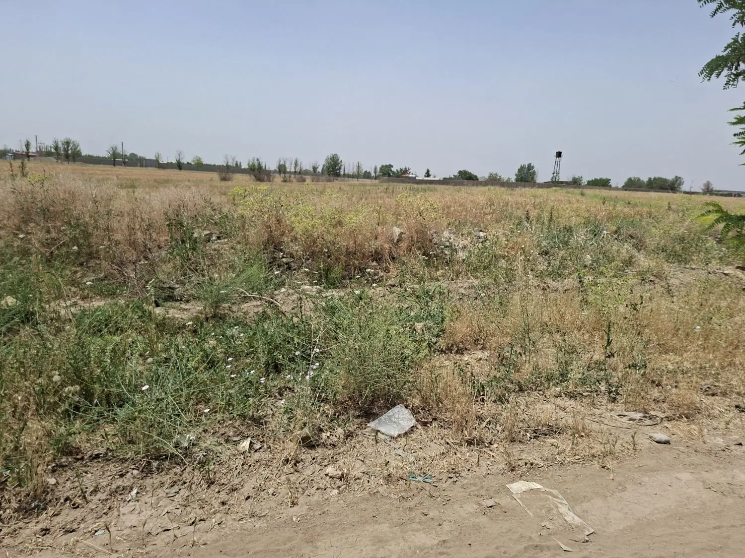 کردان خ گلماکیان ده هزار متر زمین کشاورزی سنددار