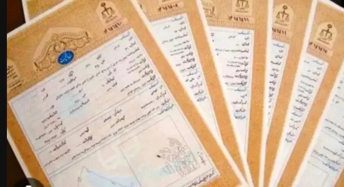 زمین  مسکونی دوکله جاده قعله گنج نرسید پمپ بنزین