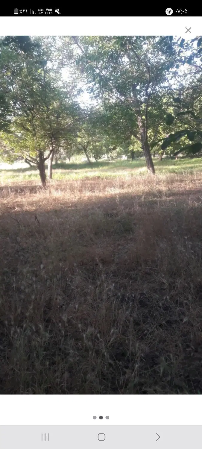 باغ تفریجان
