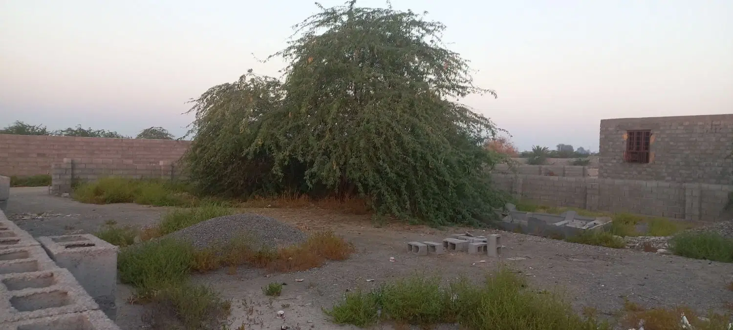 زمین فروشی