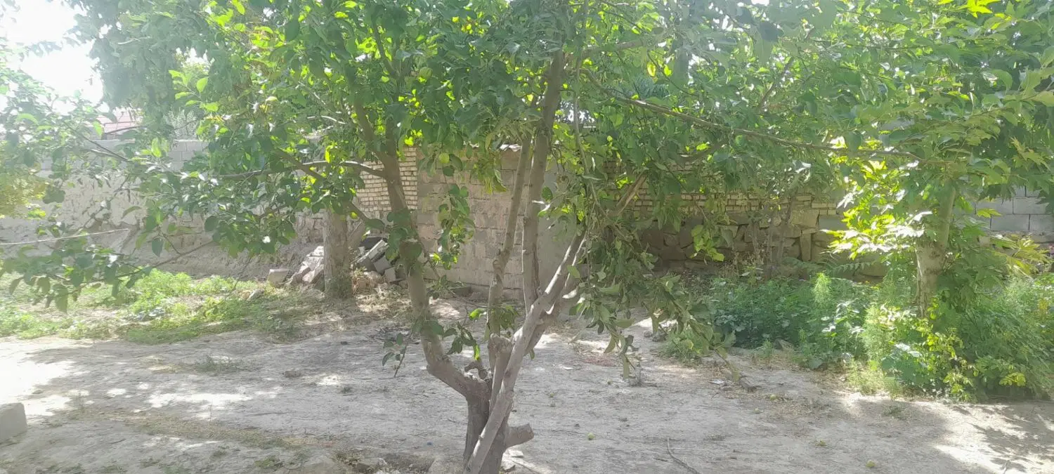 منزل ویلای روستا