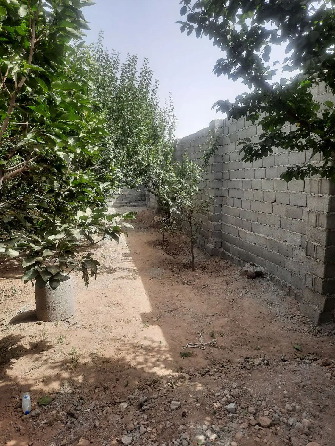 باغچه ۳۹۰ متری سند تک برگ