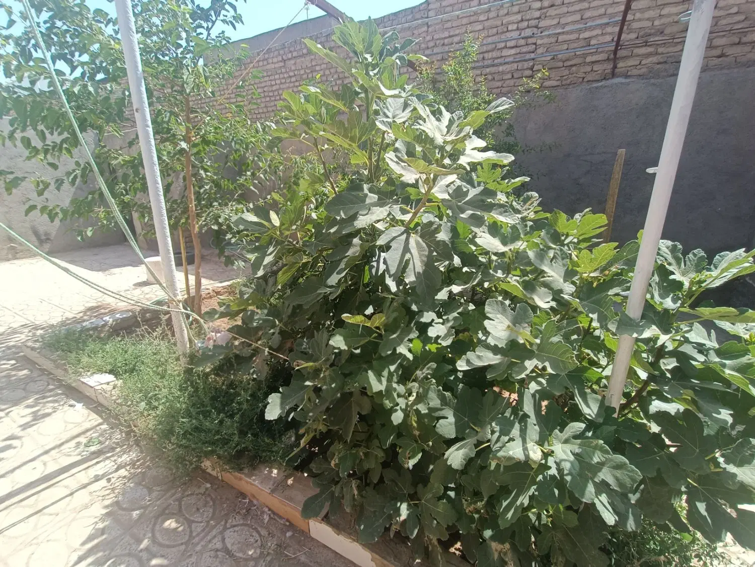 ویلایی فروشی