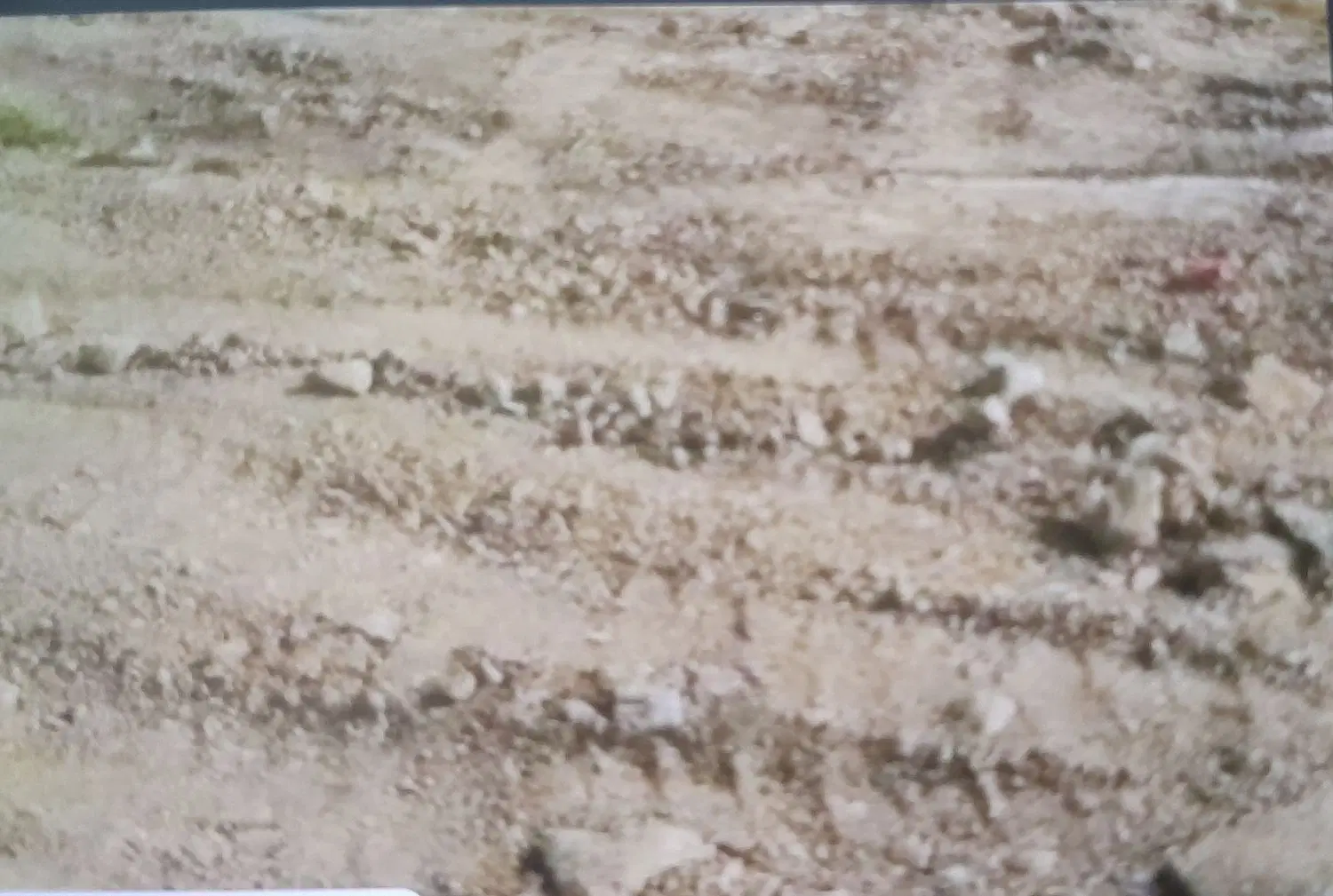 فروش زمین
