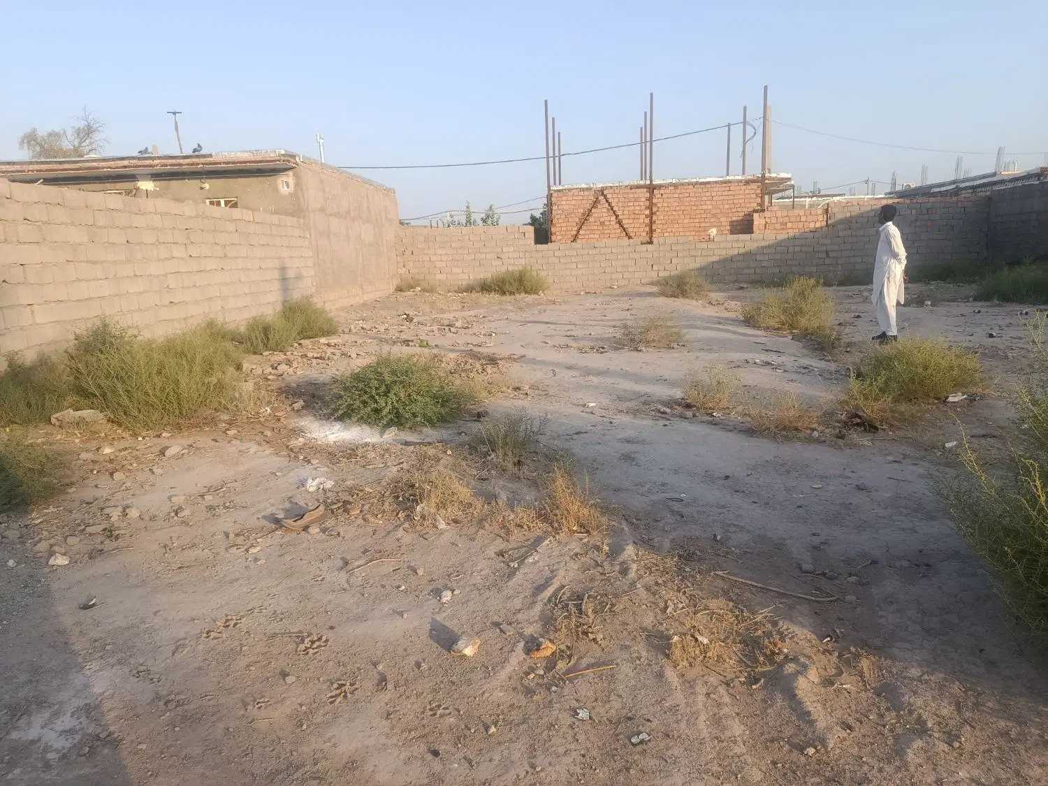 زمین مسکونی واقع در خیابان عمار در شهرستان ریگان