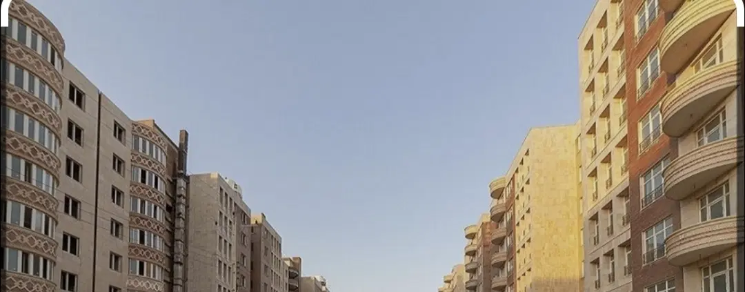 فیش مسکن