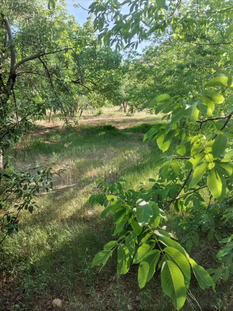 ۴۰۰متر زمین واقع در جاسب بیجگان گوهربار