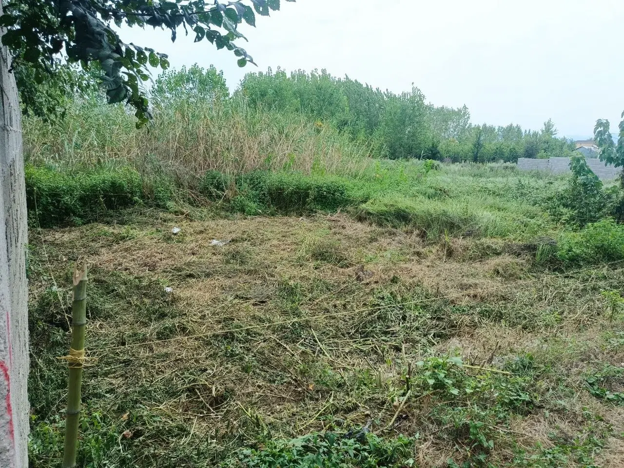 100 زمین کاربری مسکونی شهری
