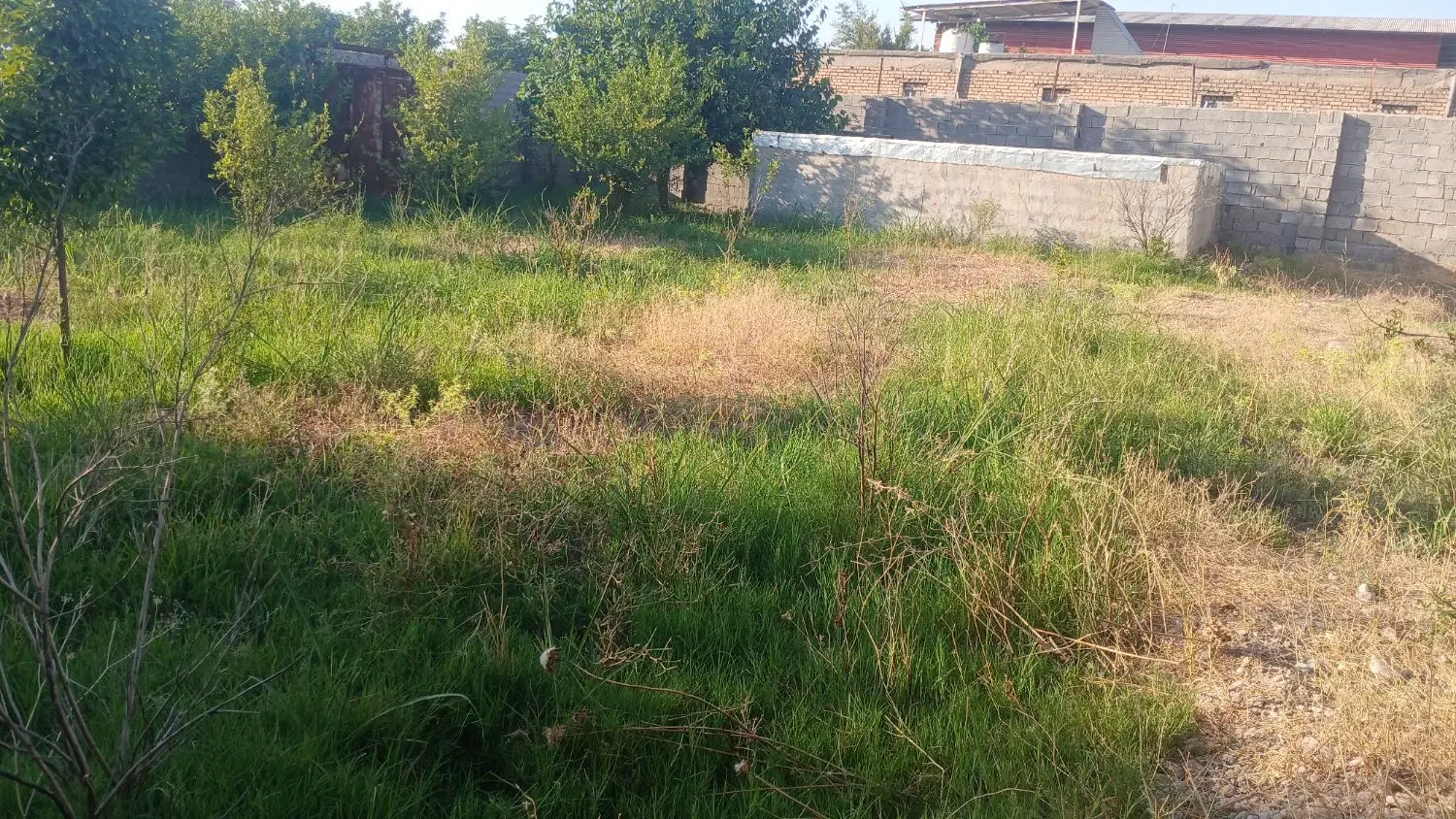 باغچه