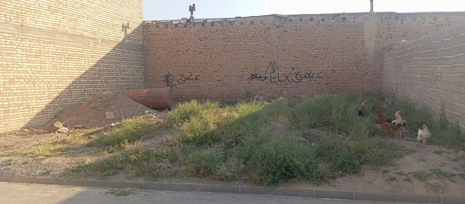 زمین