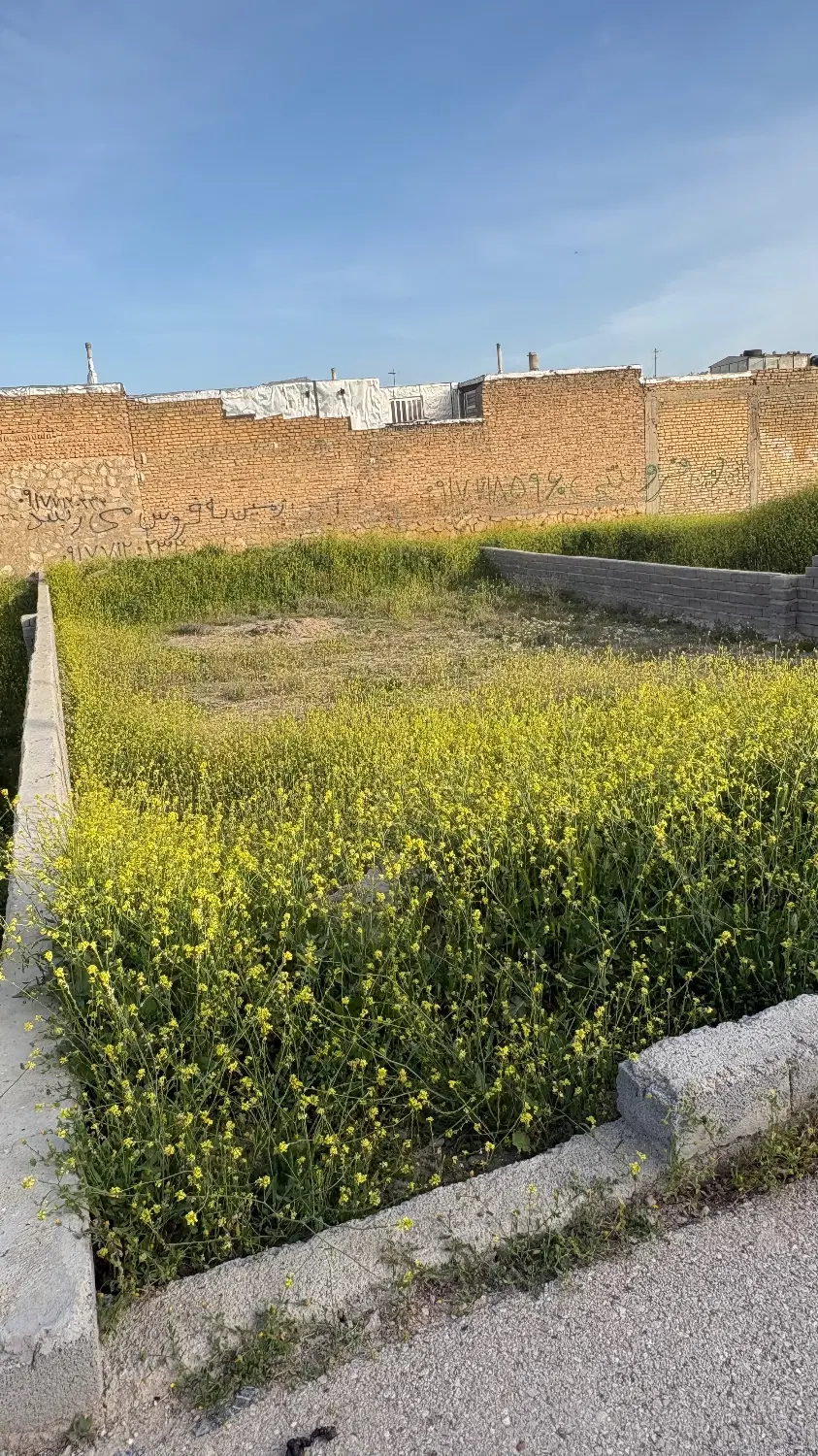 زمین کنار دادگاه کوچه ۳۲حقشناس